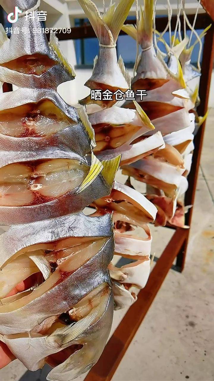 趁有太阳买了5条金仓鱼晒鱼干