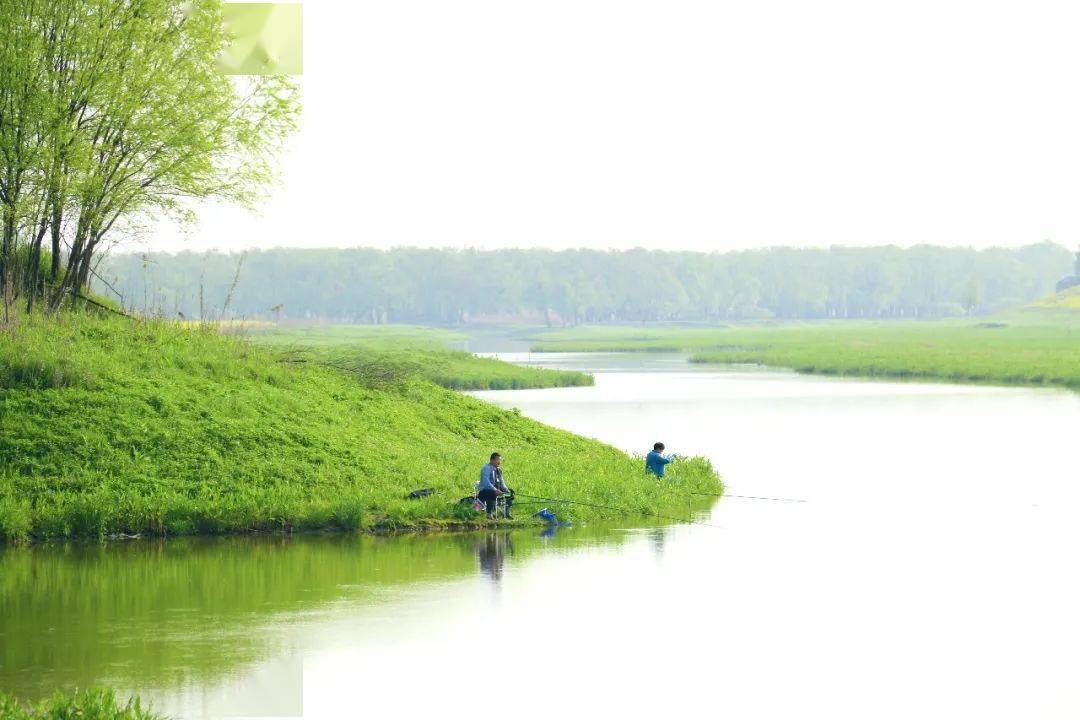 大通湖国家湿地公园图片