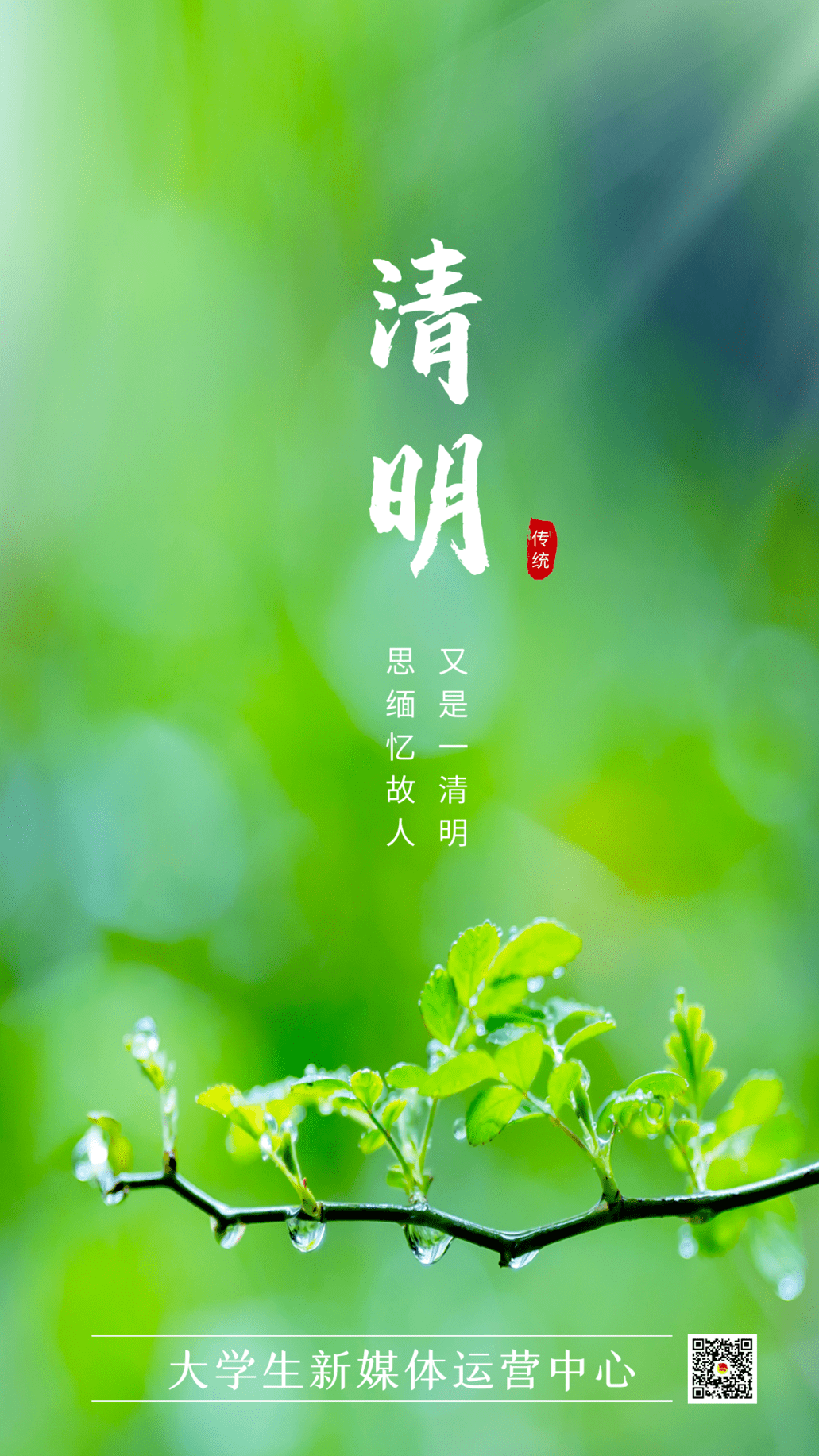 清明又是一清明思缅忆故人