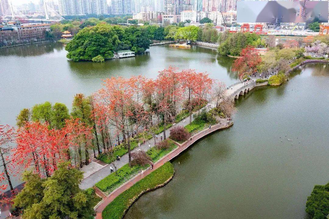 太驚豔!四月的廣東靚爆鏡【飲茶論道】_廣州_踏青_公園