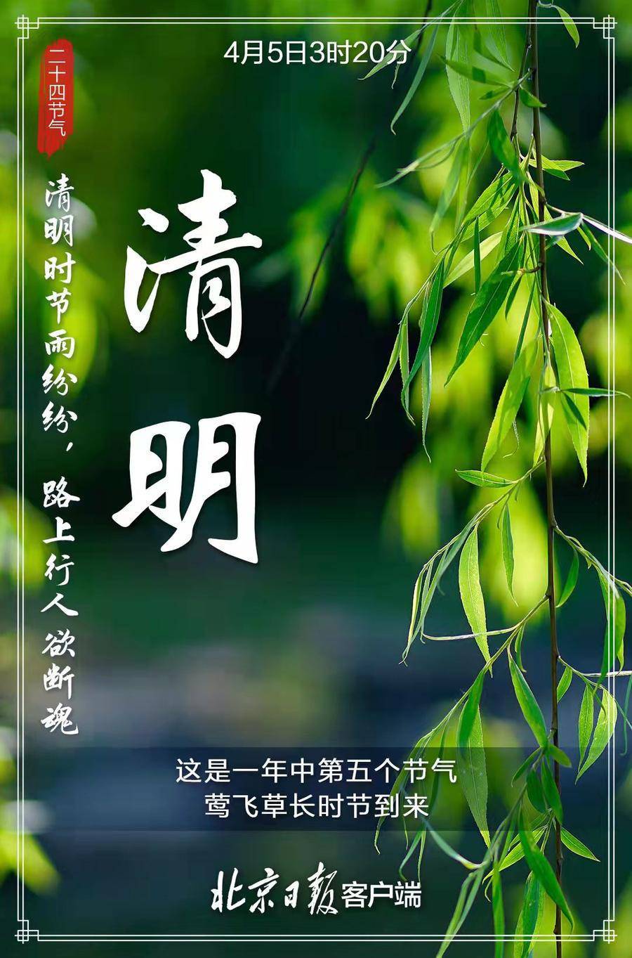 春色撩人眼,最美是清明_这是他们走后的第一个清明_时节_踏青