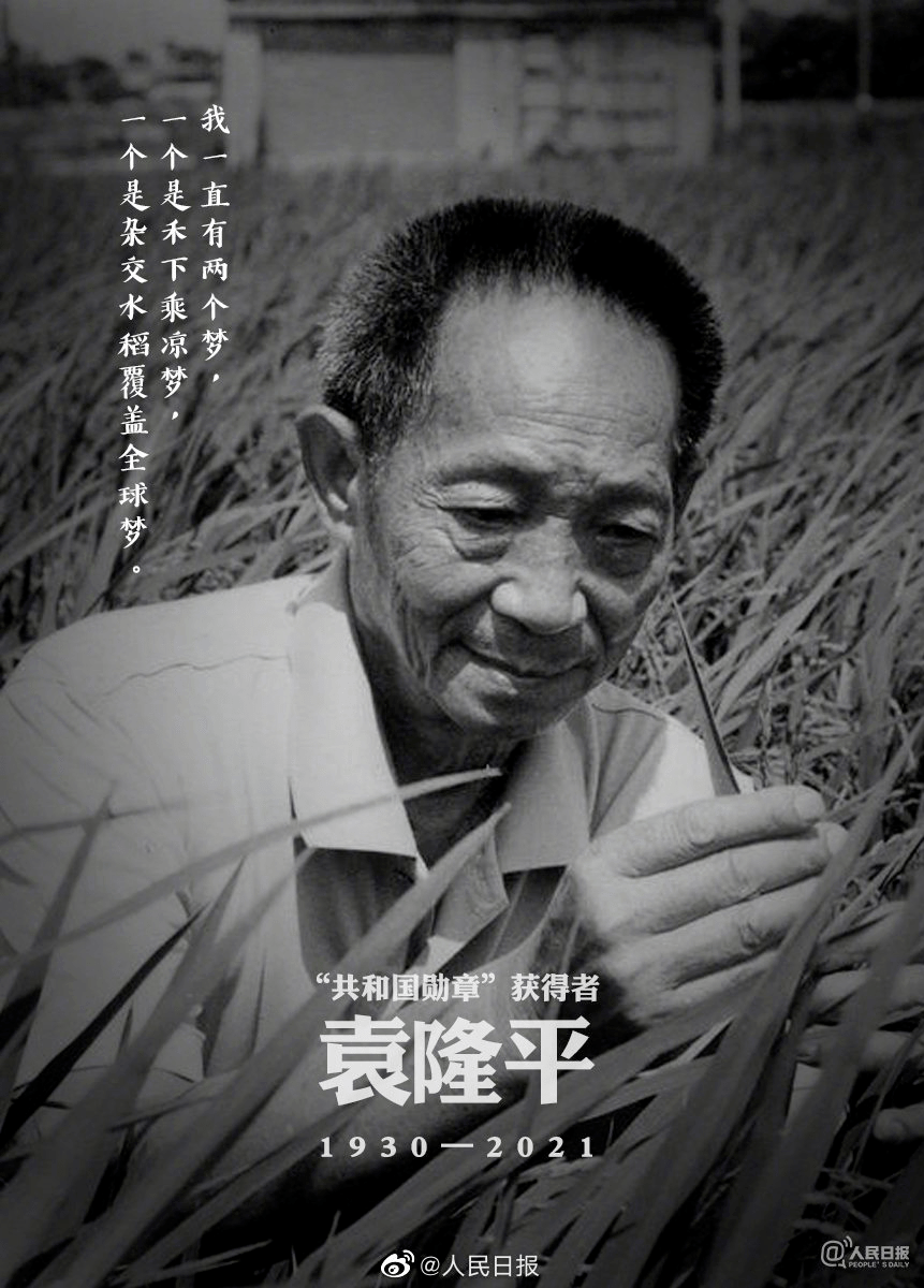 袁隆平杂交水稻之父我们不会忘记来之不易今天的美好生活只因有