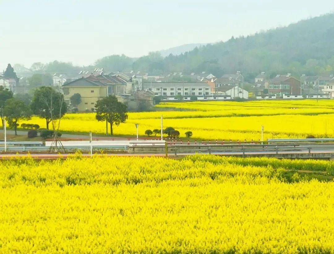 的獅山湖生態園獅山湖生態園江陰市都能在春風中找到歸宿讓每一個人是