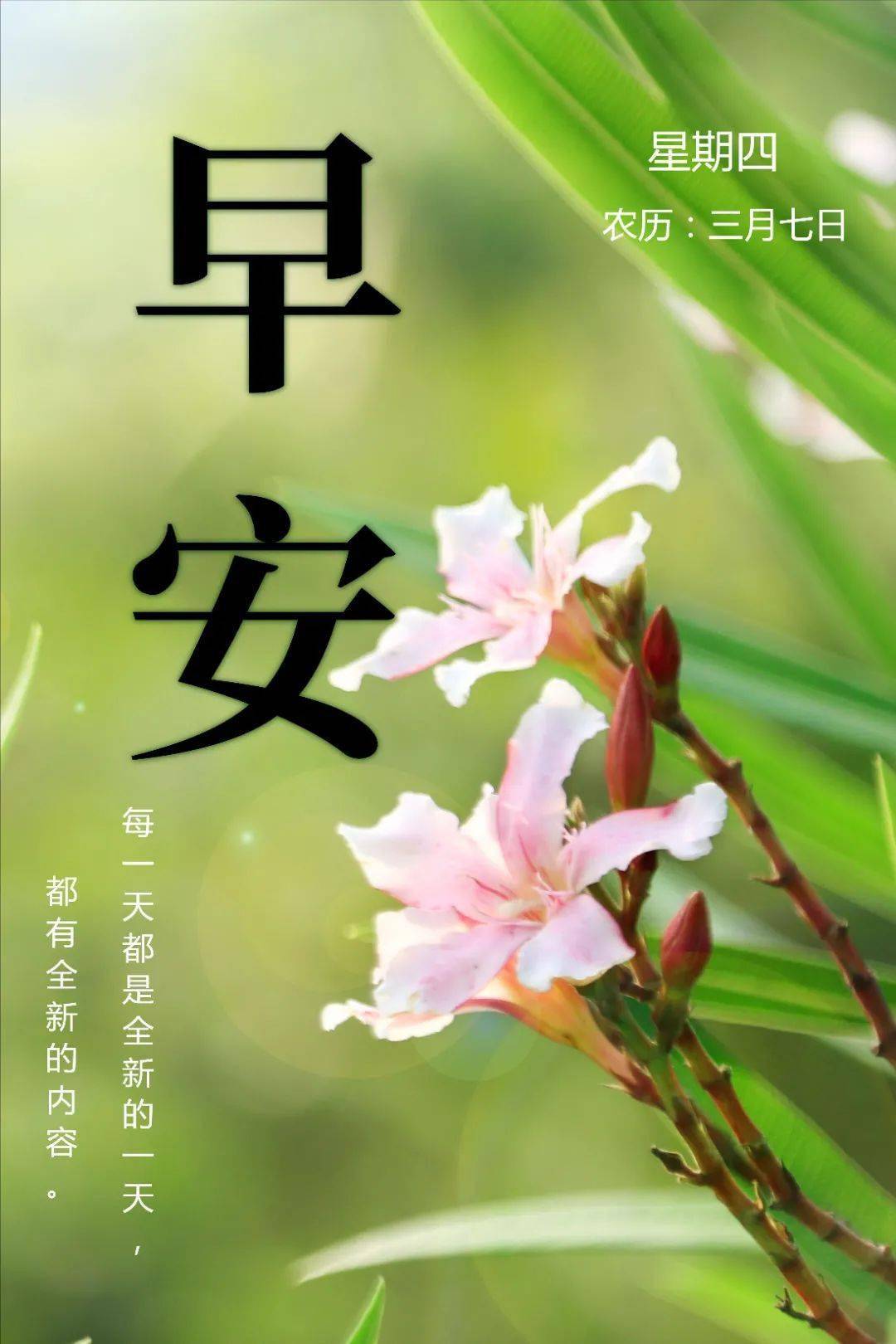 早上好祝福语图片农历三月初七