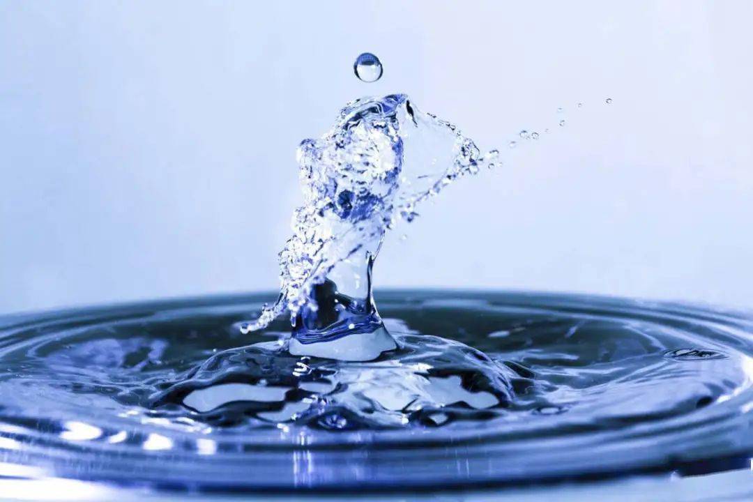 农夫山泉害怕元气森林