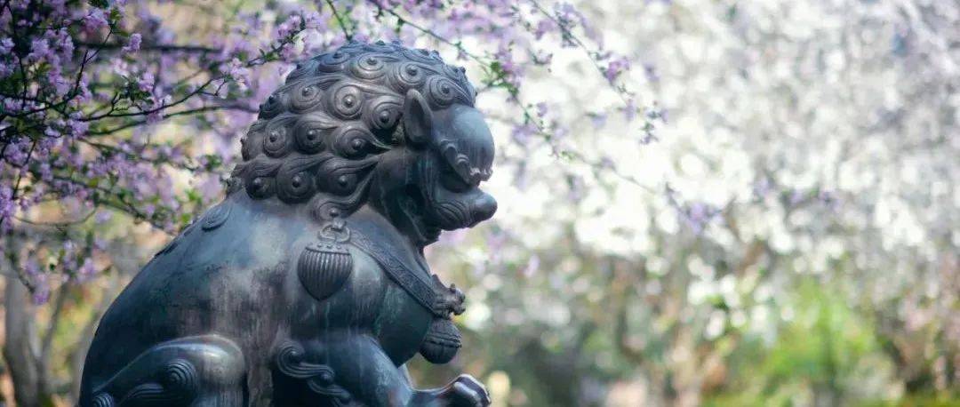 《空港双流》荐文:棠湖韵味_海棠_牧马山_花质美
