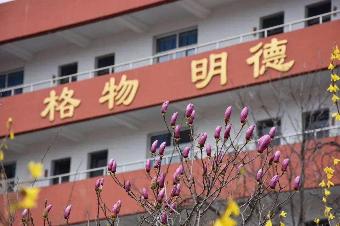 淄博校园春日限定请查收!_高青县_博山区_小学