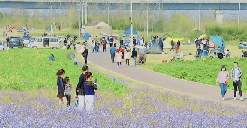 事发马塘桥!这一幕大煞风景!_公园_市民_丹阳市
