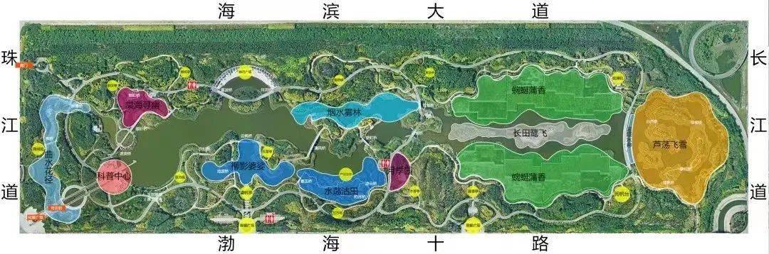 最美人间四月天临港生态湿地公园踏春走起