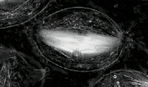 高中生物现象的29张酷炫动图知识点考点轻松理解建议收藏