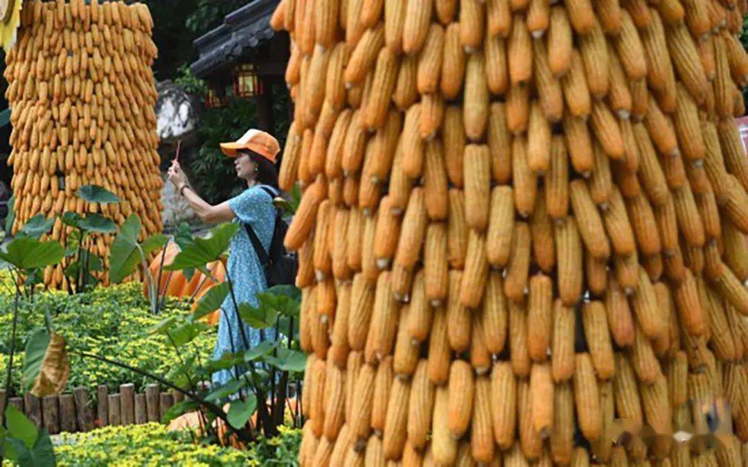 康红舒:此生,做个像农夫一样的老师吧