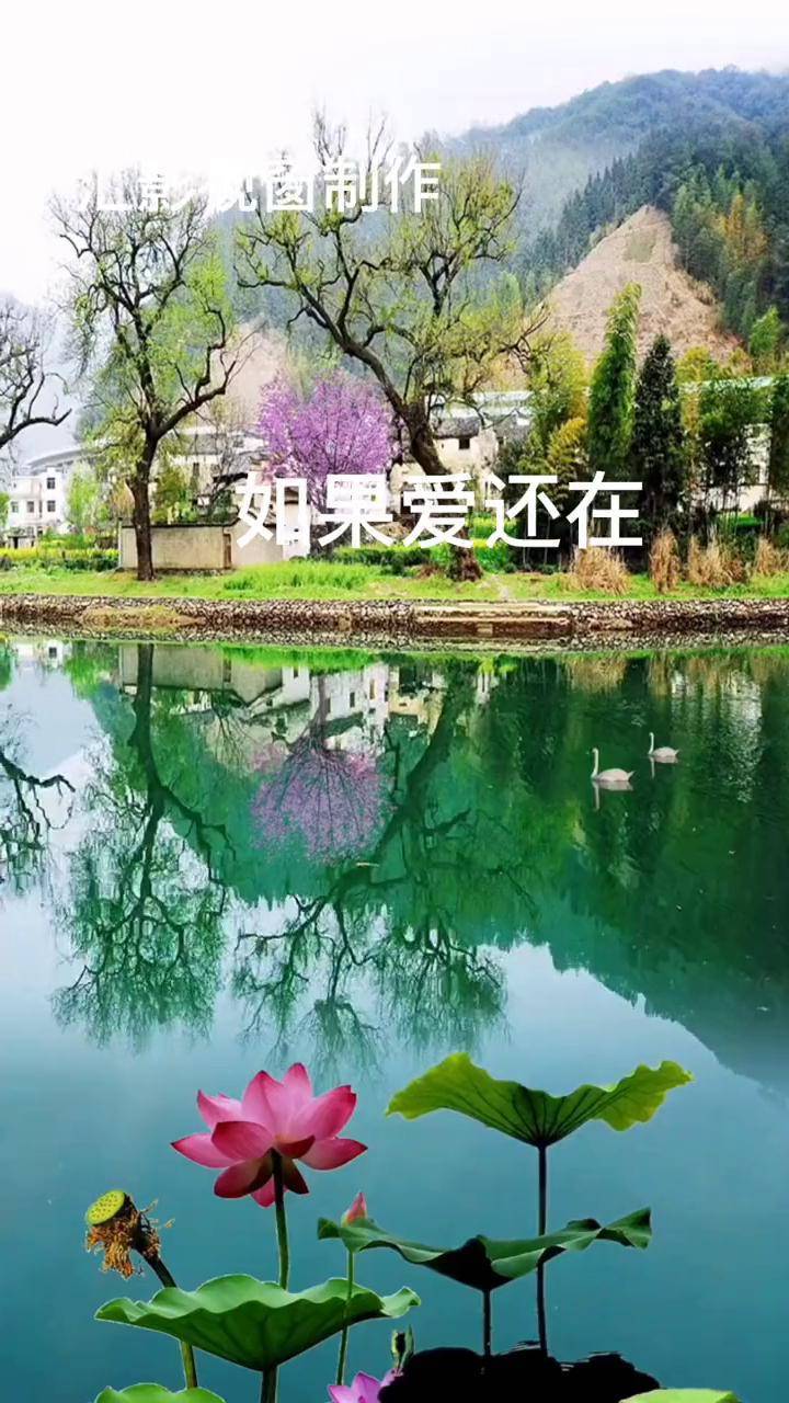 如果爱还在精彩片段风景如画心旷神怡好歌分享