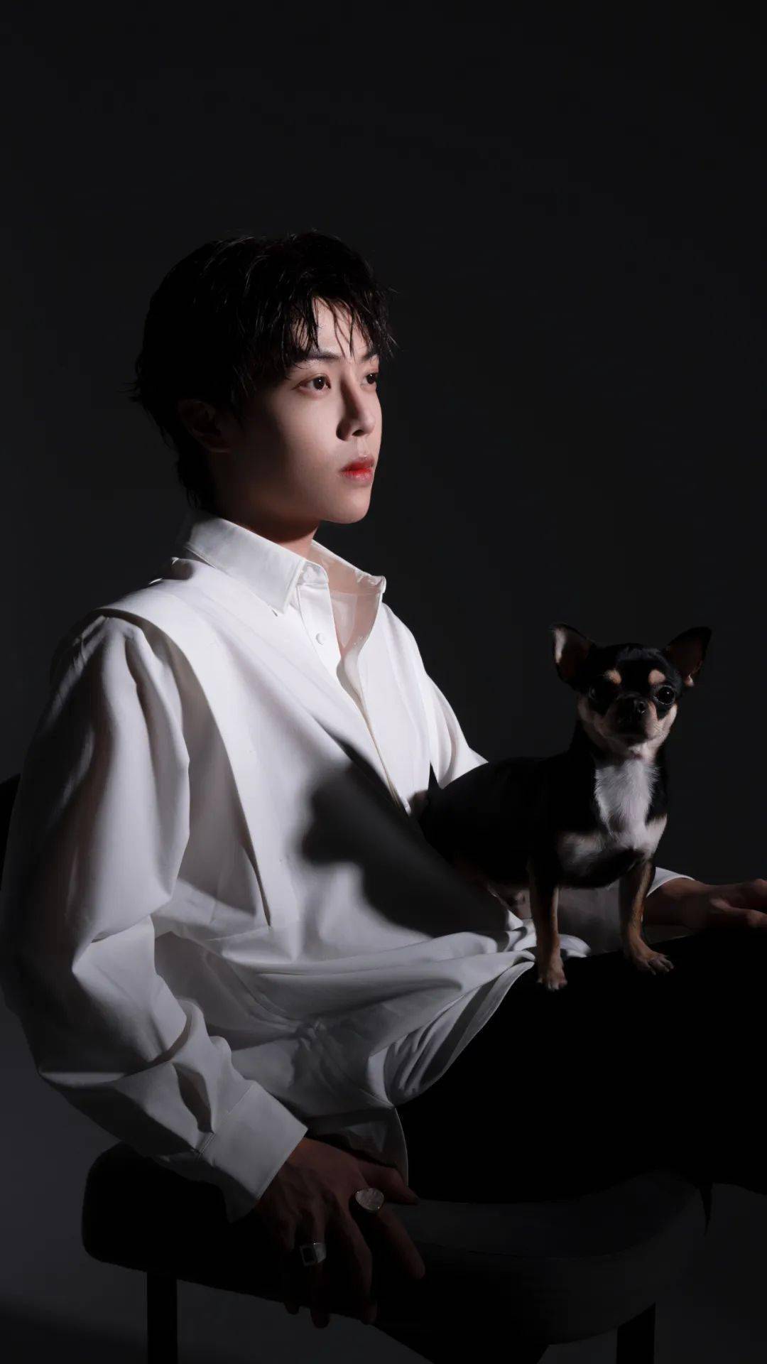 主播推荐主播名字:张东尼yy直播间id:1648抖音id:张