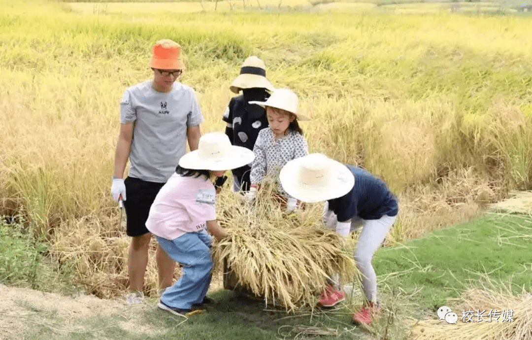康红舒:此生,做个像农夫一样的老师吧