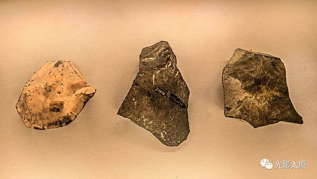 师氏剑齿象牙(复制品(旧石器时代早期 山西省芮城县匼河遗址出土)平