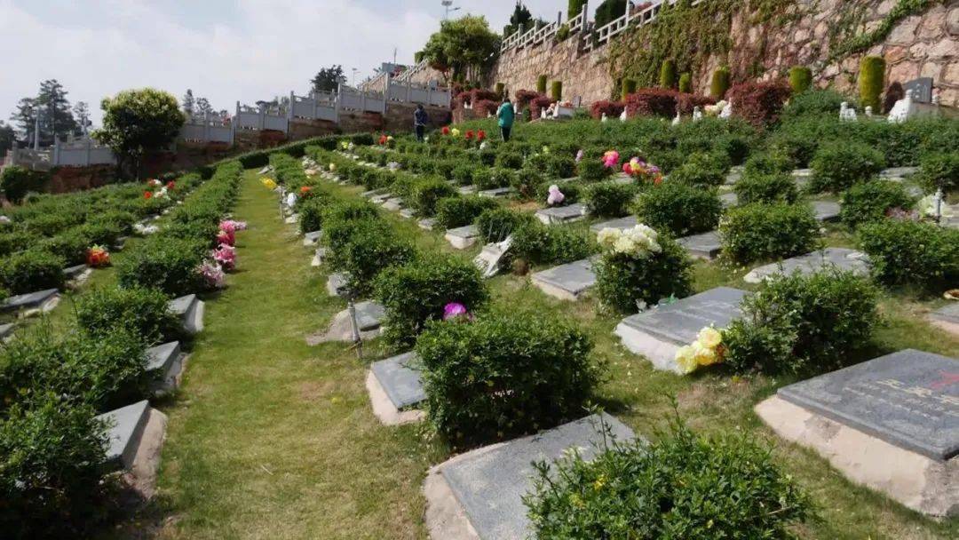 绿色生态安葬 让生命回归自然_殡葬_大理州_方式