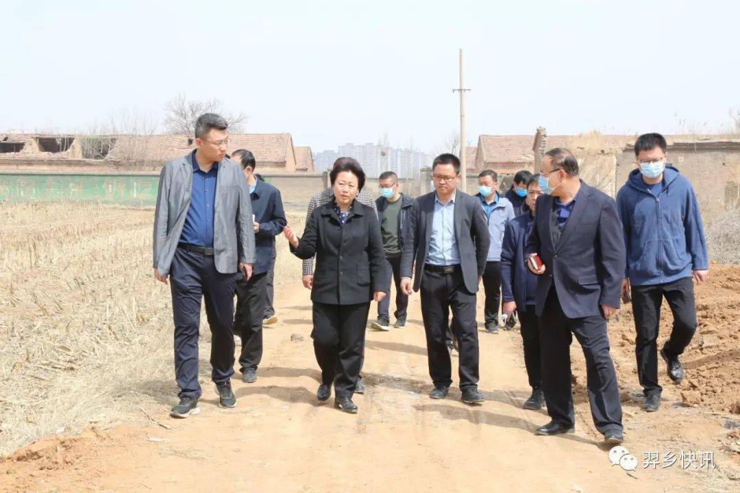 翟卫华_相关_版权