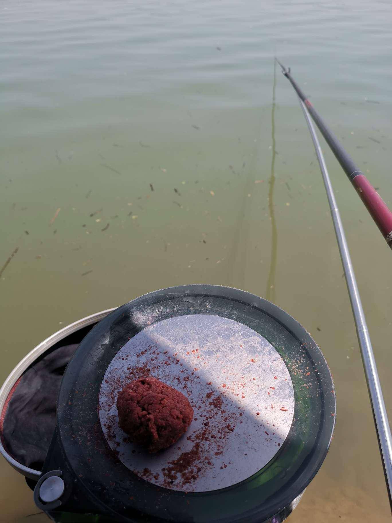 一個小時後,浮漂開始上頂三四目後下沉,提竿中魚,由於水深魚大,手腕一