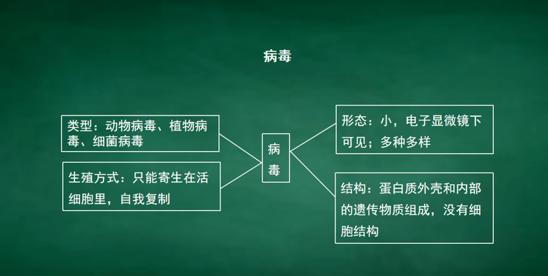 【教資】往年試講試題|生物—《病毒》_生活_細菌_繁殖