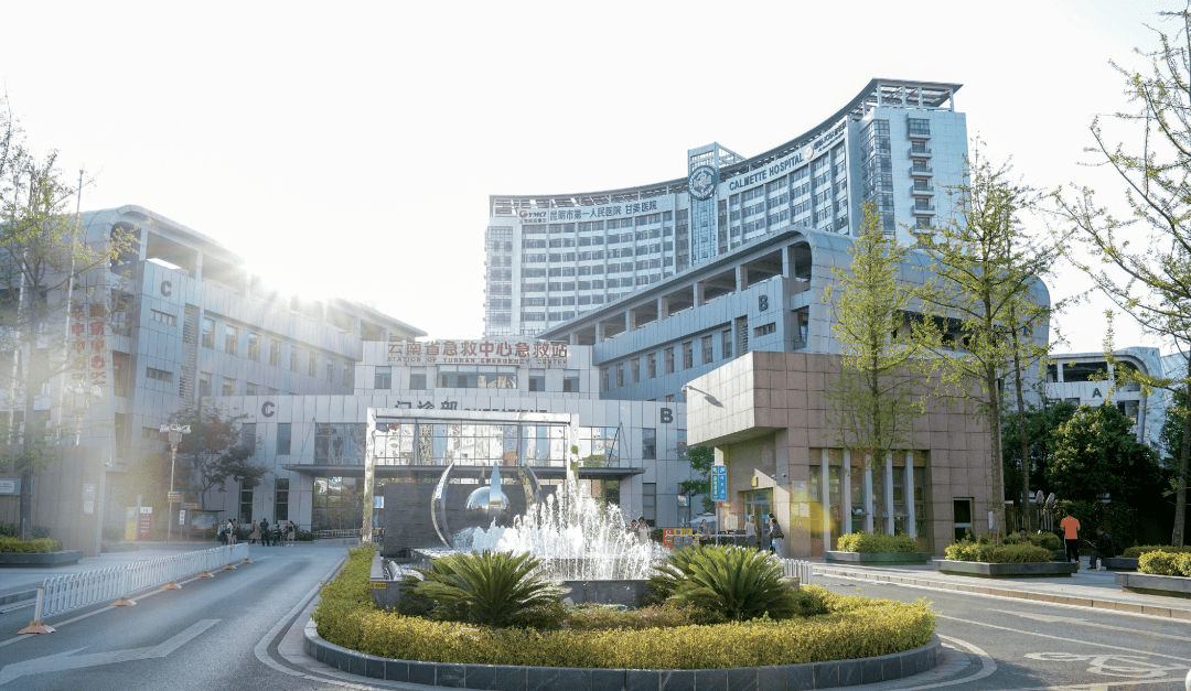 芳华正茂盘龙如歌自然六合内少闻贫病人甘美国际医院