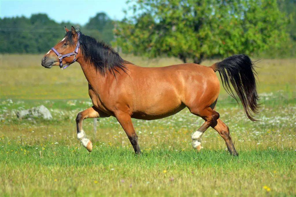 有钱就变坏的生肖