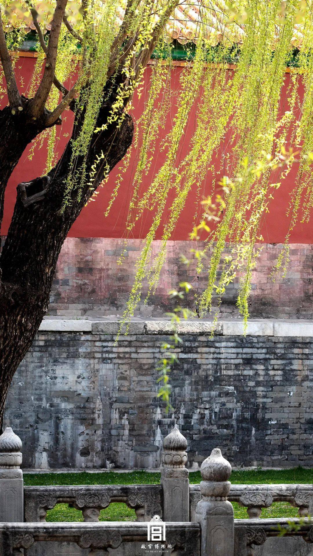 故宫的春天是一种什么感觉