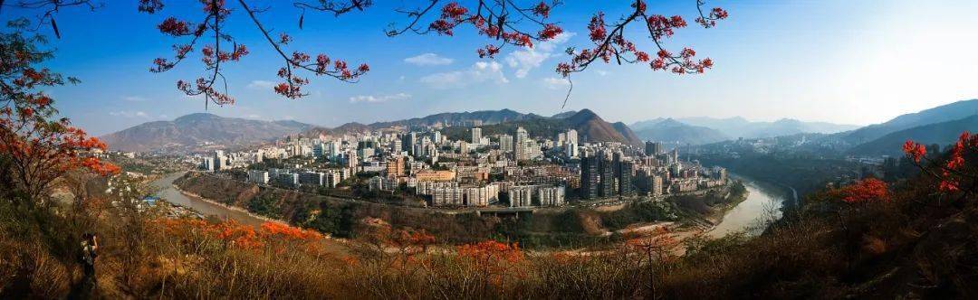 中国唯一以花命名的城市,甜翻了_攀枝花_四川_阳光