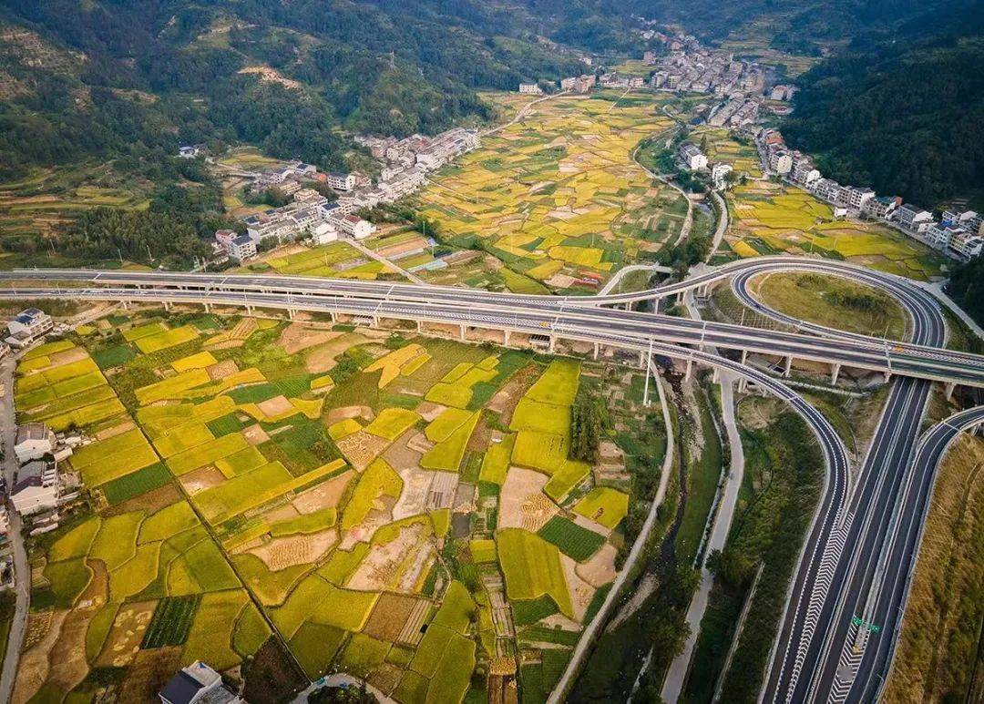 苍泰高速泰顺段图片