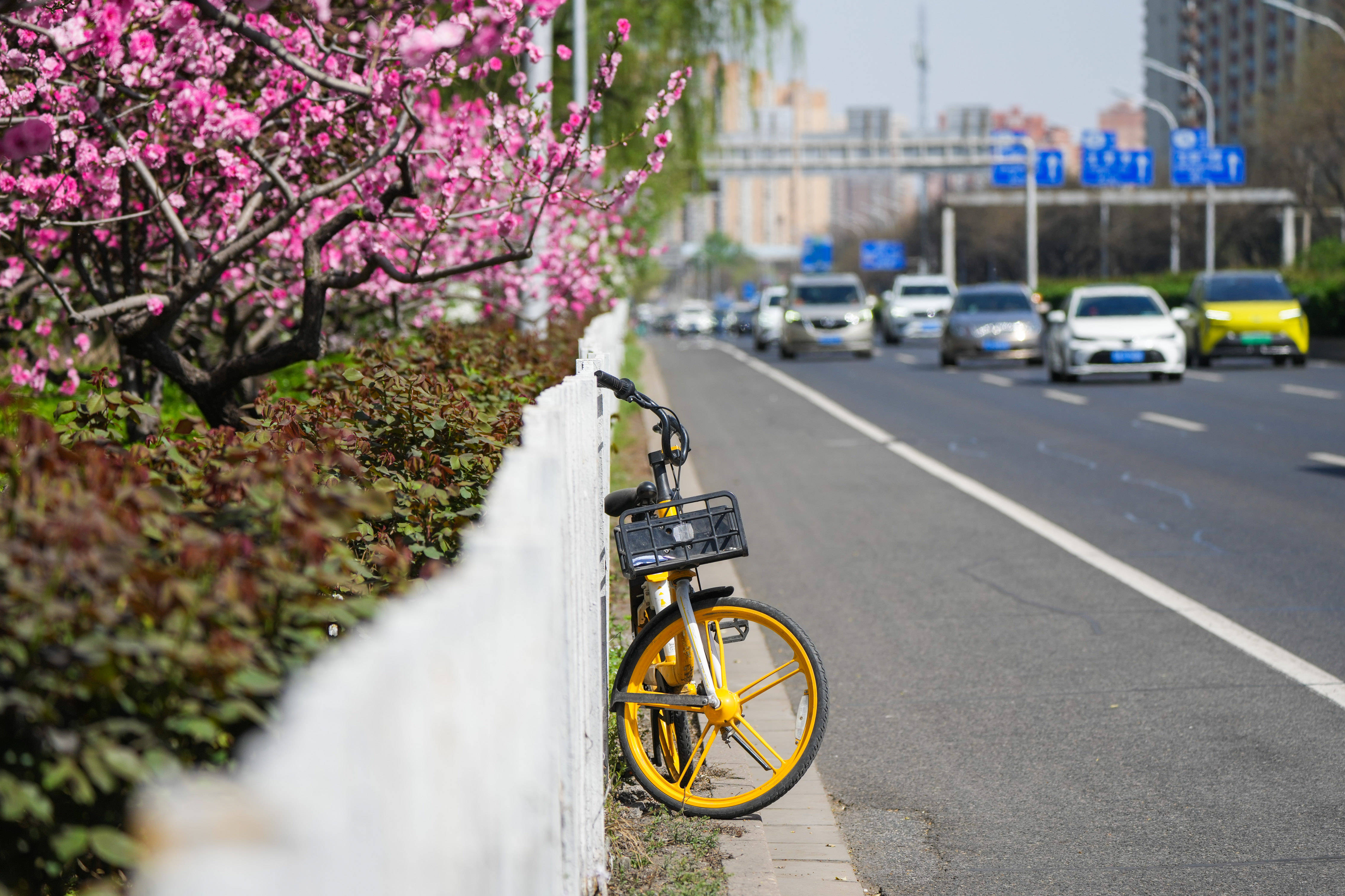 北京近85共享单车活跃用户承诺文明骑行有序停放