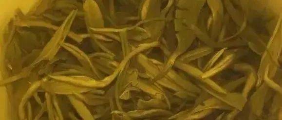 这样喝茶,等于慢性毁肾_浓茶_茶叶_咖啡因