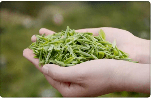 共富故事丨泰顺生态特色茶叶走俏一片叶子富了一方百姓