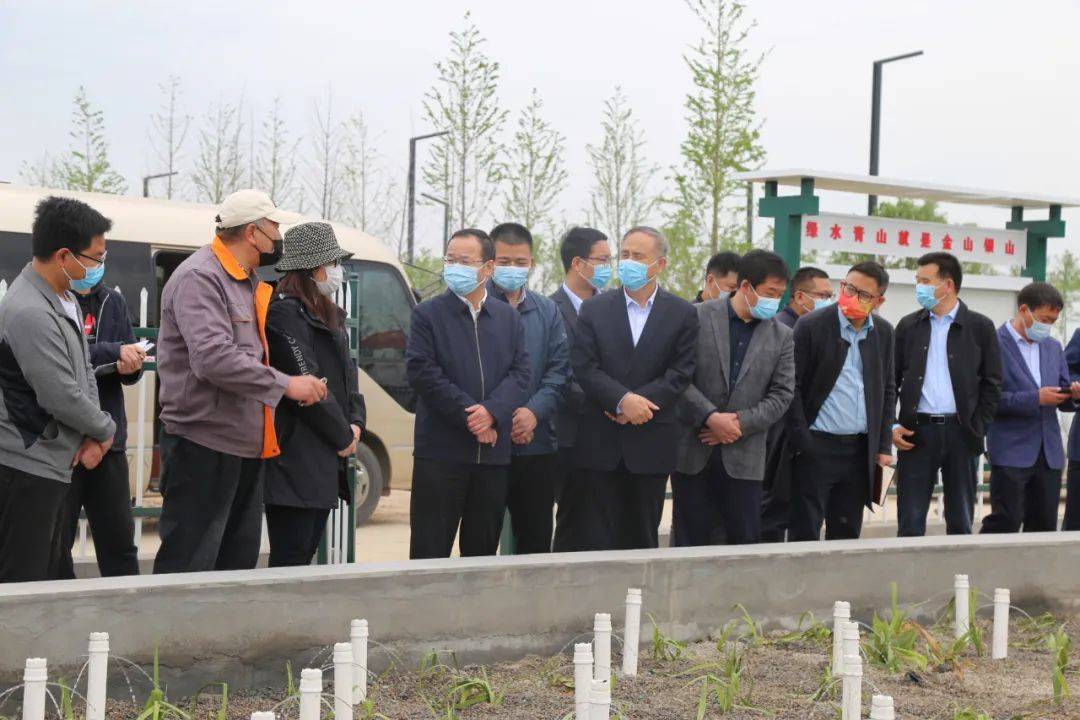 淮阳区委书记张建党带队调研生态环境保护工作