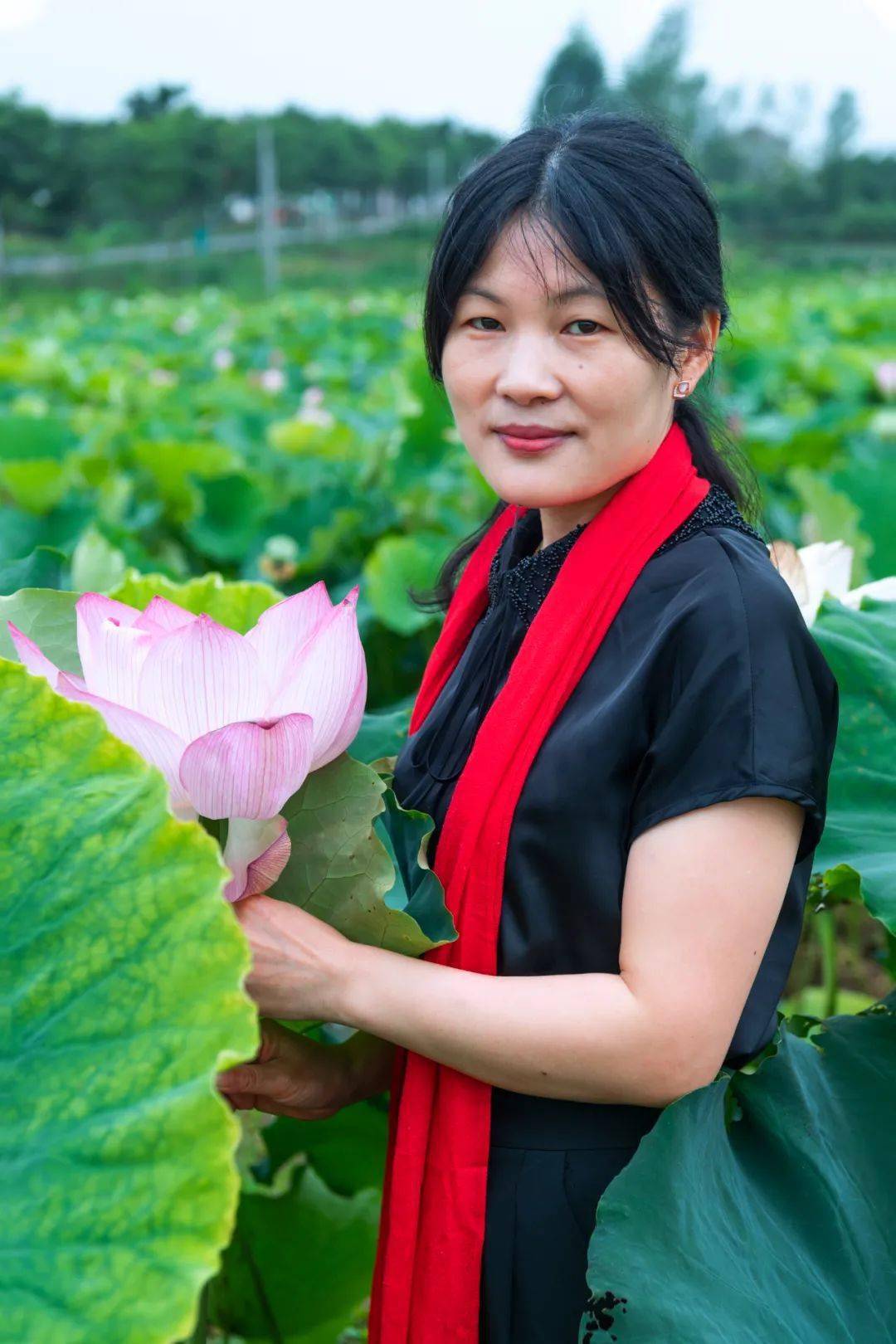 刘翠平,市第十六届人大代表,肥西县铭传乡农办工作人员:勤学善思强