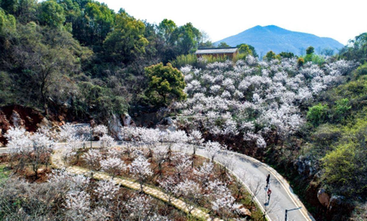 黄石白马山图片