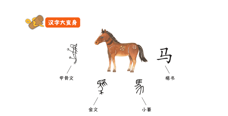 这套书让你明白学习汉字的诀窍就藏在汉字的造字逻辑里