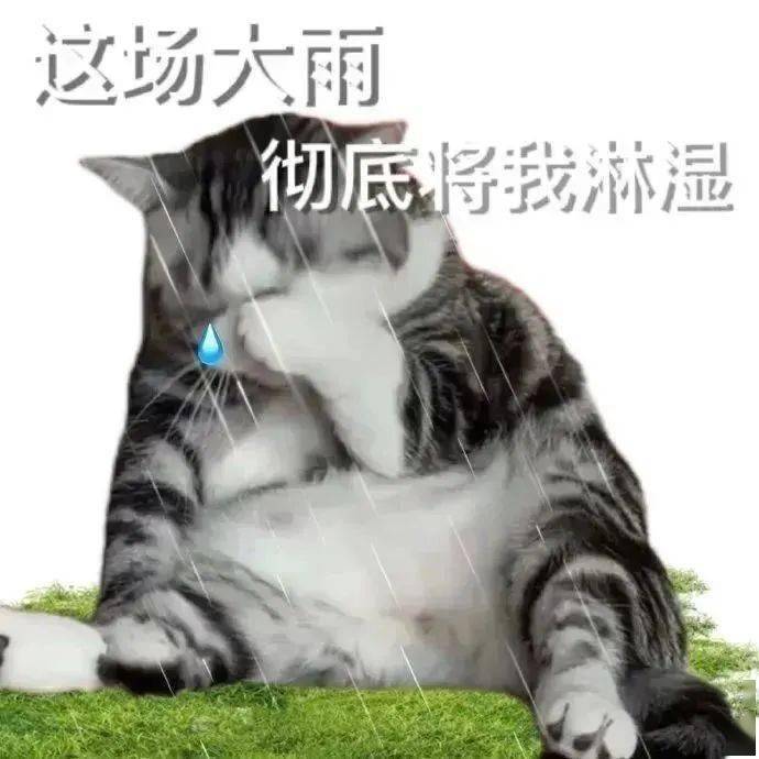 熊猫头发烧摸头表情包图片