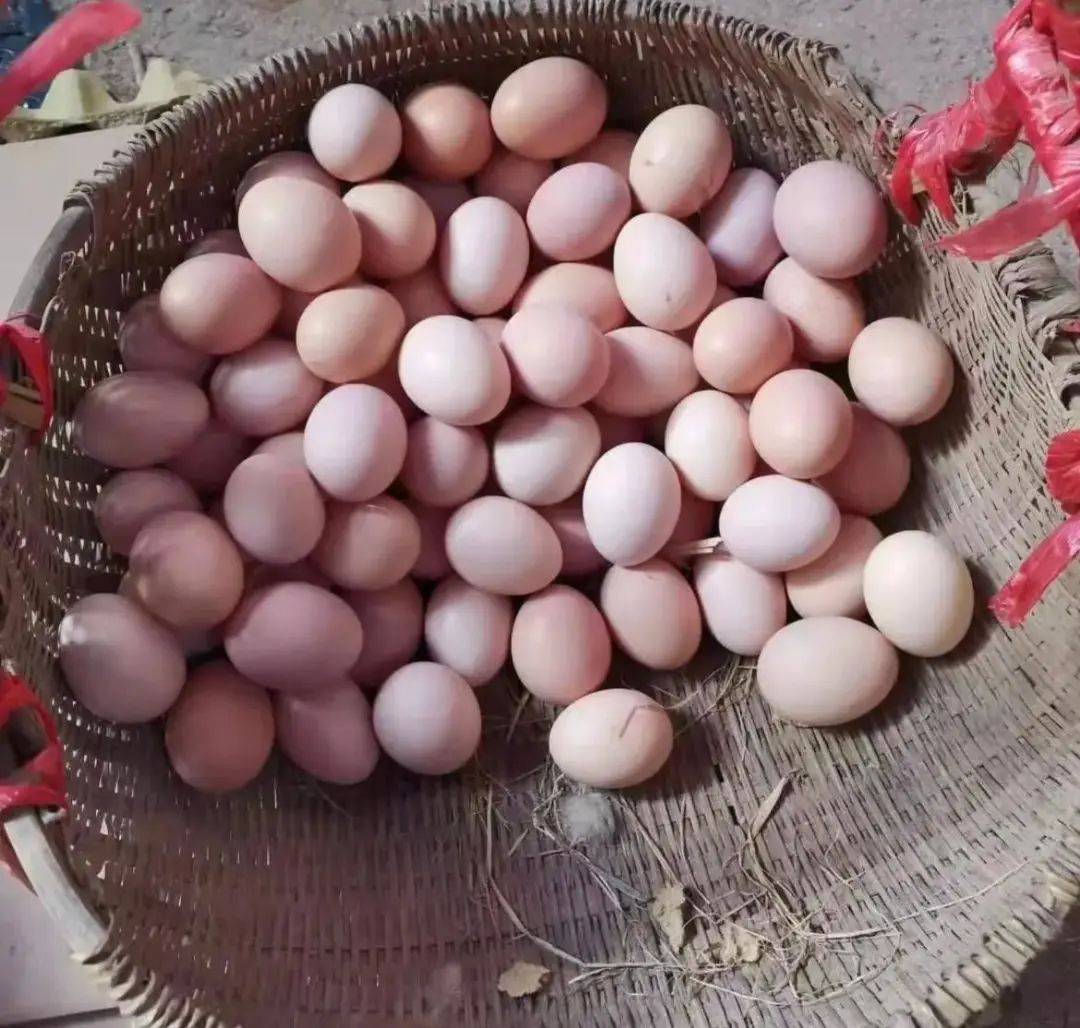 皖北土鸡蛋20枚农家林下散养草鸡蛋谷物笨鸡蛋新鲜柴鸡蛋整箱包邮