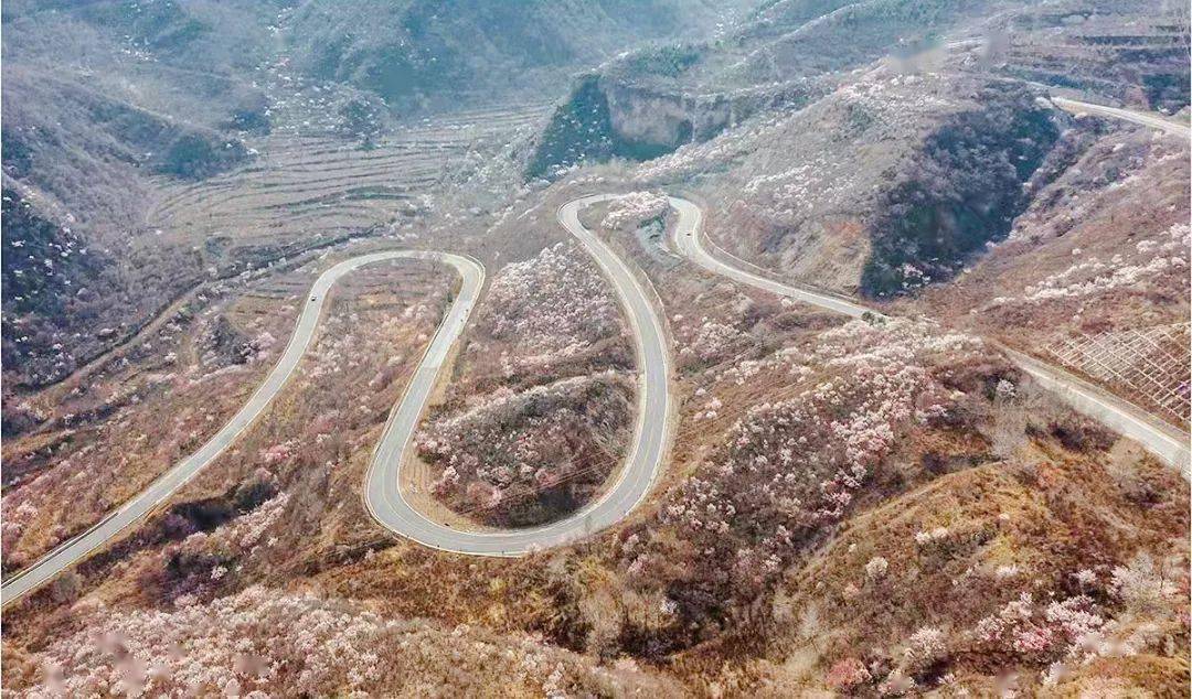 打卡门头沟妙峰山大禅路走进山花烂漫的画卷