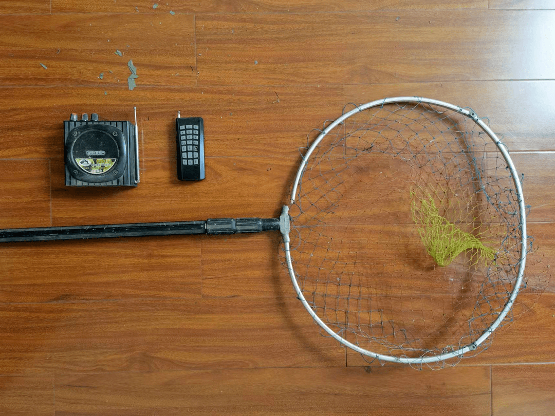 余姚有人抓了4只黑水鸡后果很严重