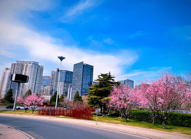 春天城市花园图片