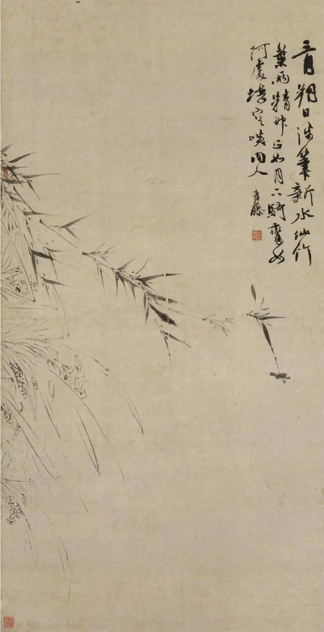 徐渭写竹无拘无束墨气淋漓