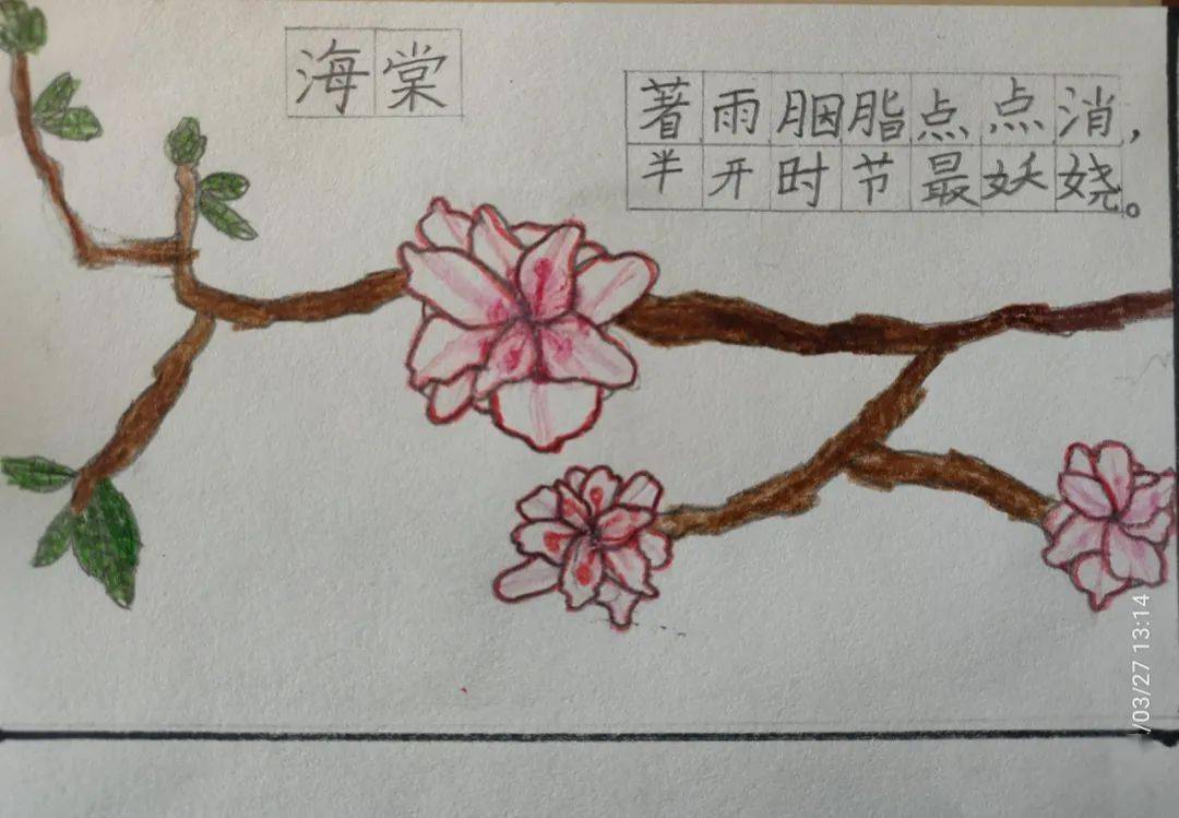 二十四节气画信作品图片