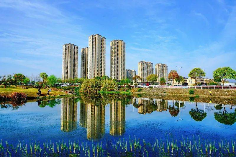 征集2022韵味水乡泽国全国摄影大展