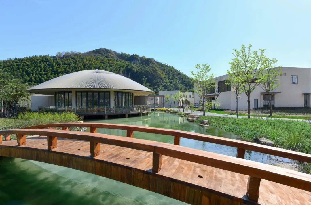 长兴花间堂沂水山竹环绕添秀色沂水乘兴游画境