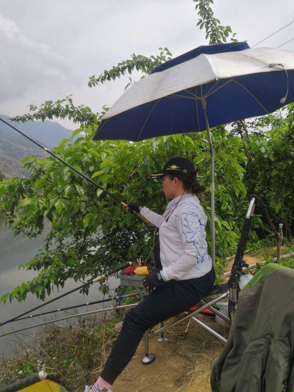 放生鱼获桑葚树下美女作钓画面美不胜收