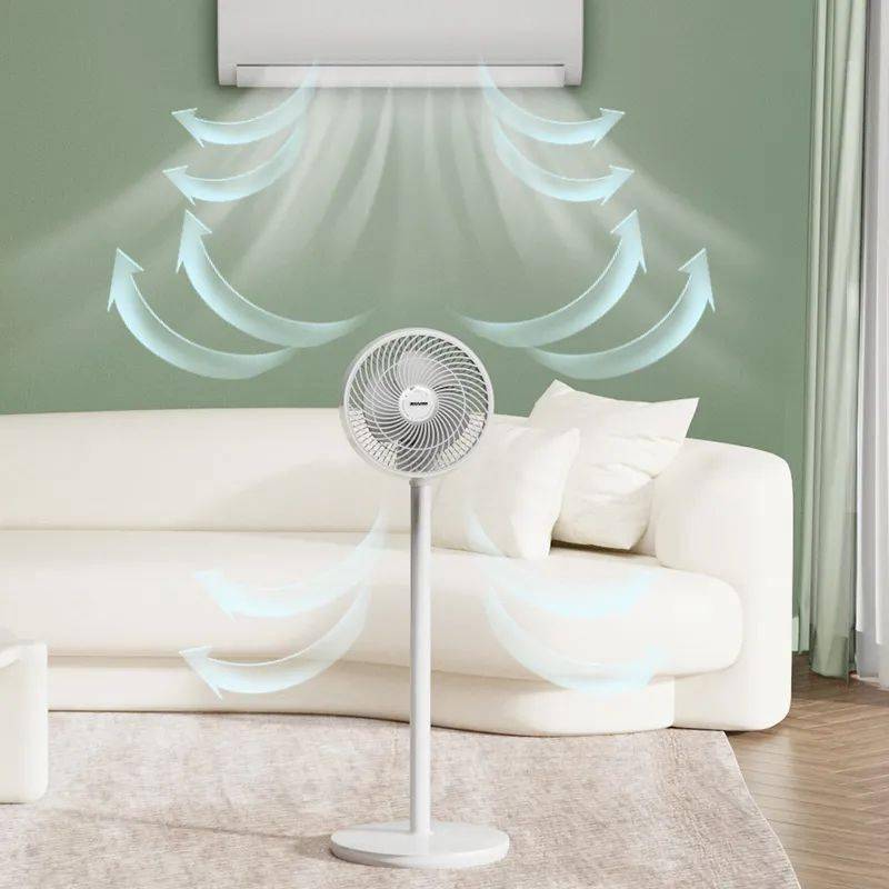 黄壤小兰西瓜新鲜上市啦 更有超值夏季好物提前开卖_馄饨_羊角_口感