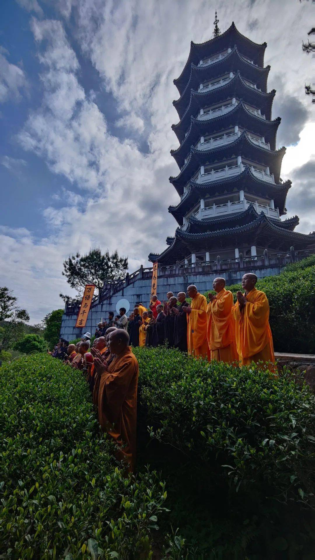 天心永乐禅寺开山首采祭茶祈福一杯茶安顿身心