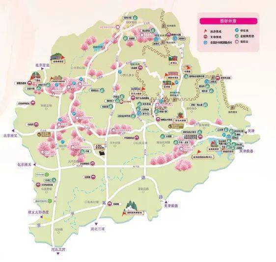 桃醉平谷花海休闲平谷携手阿里巴巴世界级景观平谷桃花海云上绽放