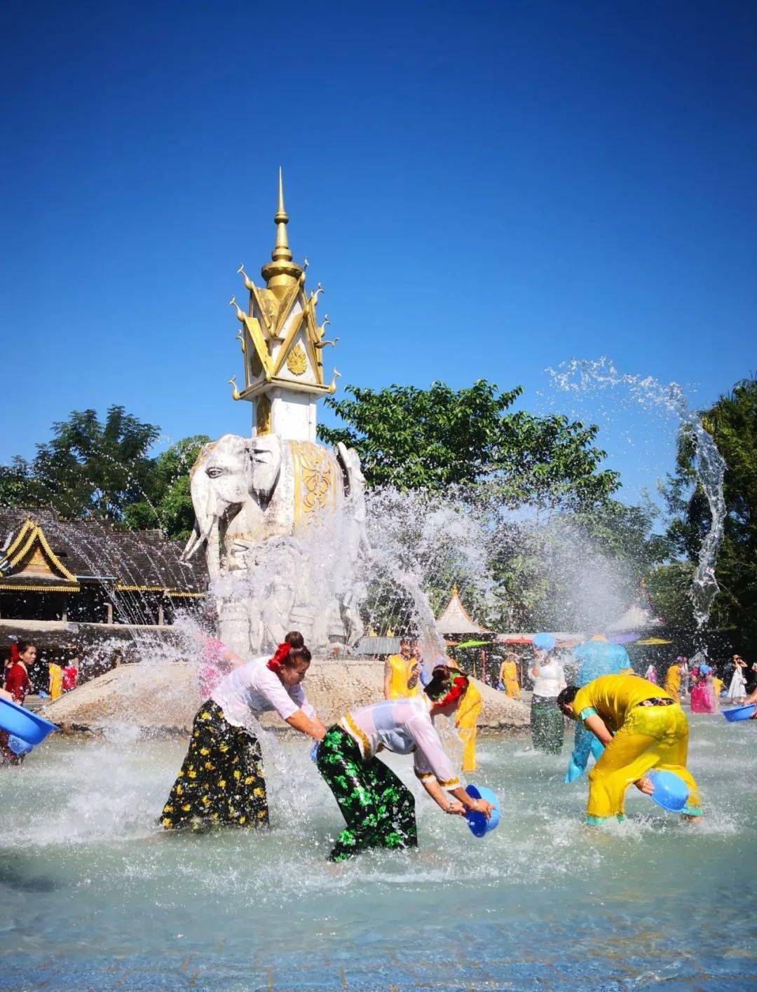 "如果没有疫情,今天我会在西双版纳过泼水节."_佛寺_景洪市_热带雨林