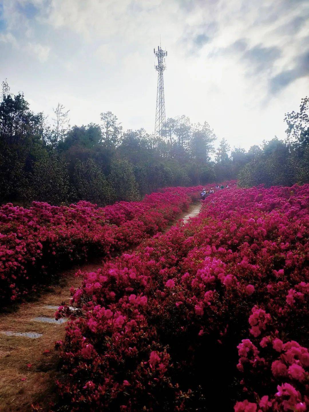 江西大余西华山矿山公园